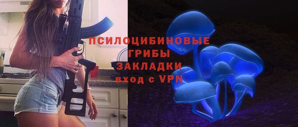 стаф Россошь