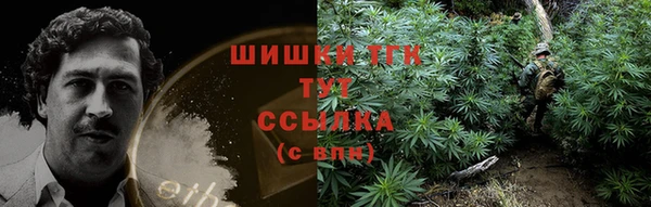 СК Рославль